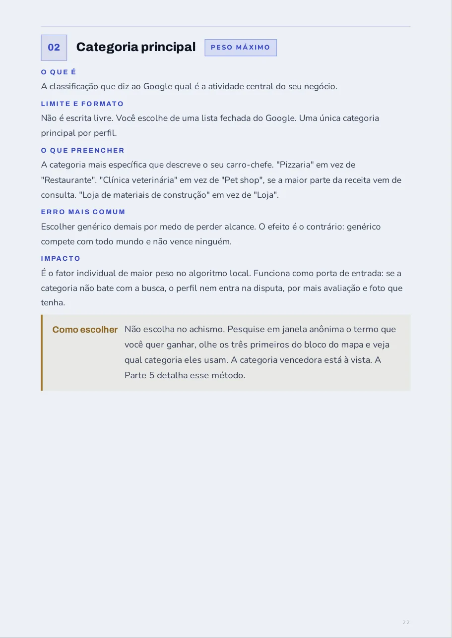 Página detalhando o campo Categoria principal, com etiqueta de peso máximo, o que preencher e o erro mais comum
